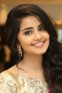Anupama Parameswaran Film ve Dizileri
