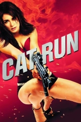Cat Run - Güzel tanık