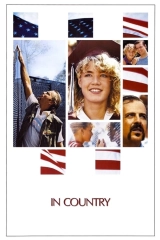 Taşrada (1989)
