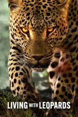 Leoparlarla Yaşam