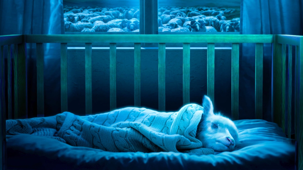 Lamb izle